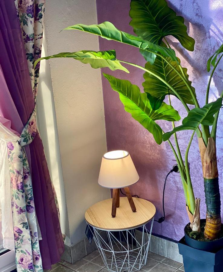 Apartmani Maxim Kotor Luaran gambar